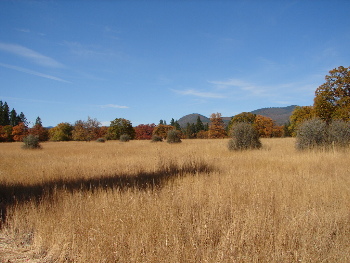 Terrain